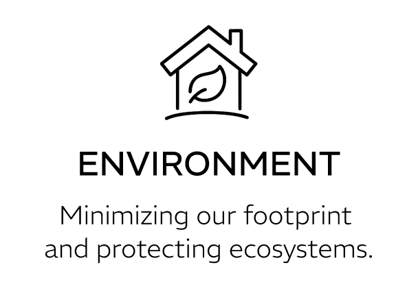 RRM SITE_Plan de travail 1-08
